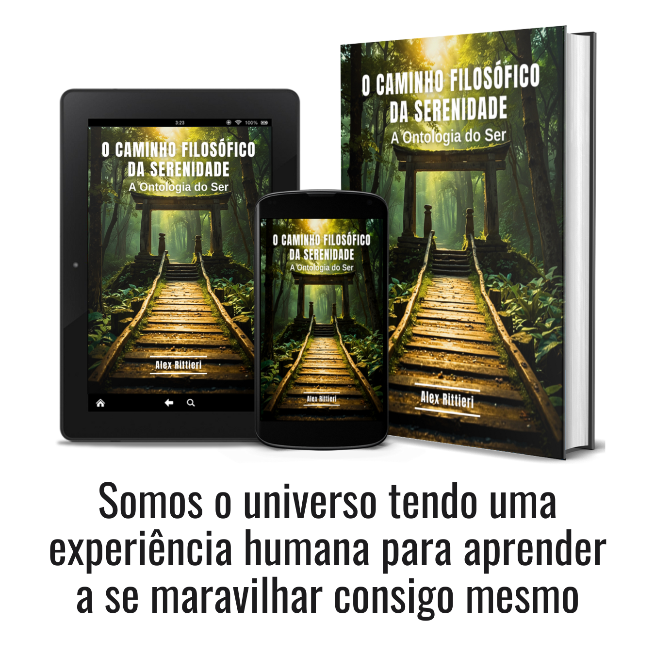 O Caminho Filosófico da Serenidade: A Ontologia do Ser